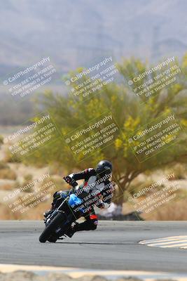 media/Apr-10-2022-SoCal Trackdays (Sun) [[f104b12566]]/Turn 5 Tree of Life (1040am)/